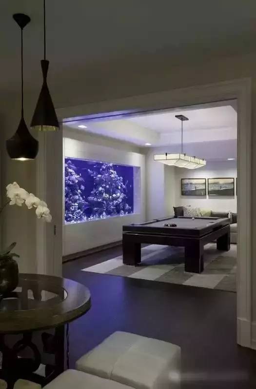 家里摆鱼缸数量有什么讲究,属马属蛇的家里怎么摆鱼缸