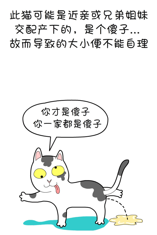 猫咪和铲屎官的幸福生活漫画,猫狗铲屎官漫画