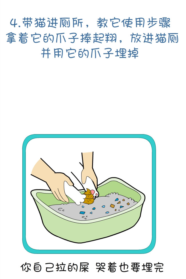 猫咪和铲屎官的幸福生活漫画,猫狗铲屎官漫画