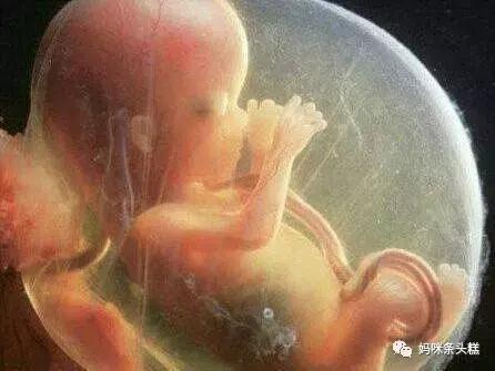 怀孕多久后服药对胎儿有影响,准妈妈用药需小心怀孕期用药指南