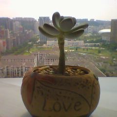 360儿童手表6c功能介绍,360儿童手表6x是防水的吗