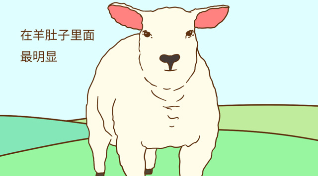 为什么怀孕了子宫里有血,为什么怀孕后会有分泌物