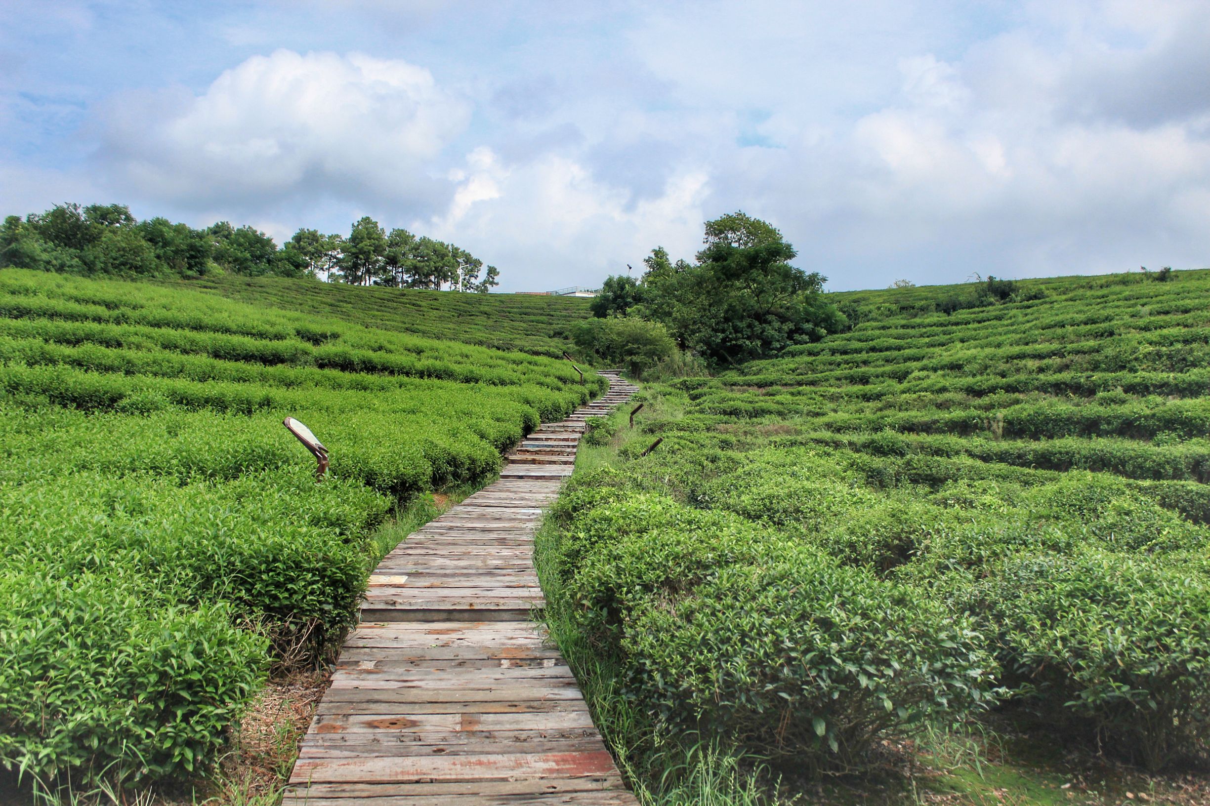 高淳最美的小镇,高淳得半庄园地址