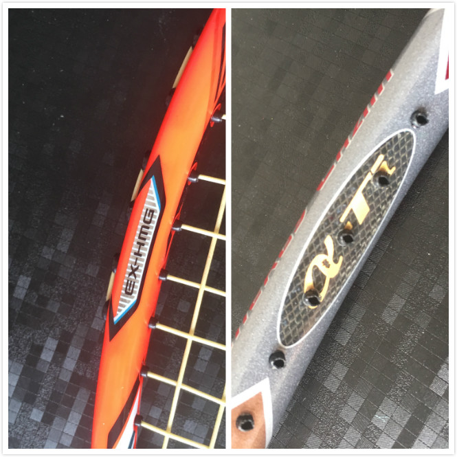 风萧萧兮易水寒下句答案,风萧萧兮易水寒打一生肖