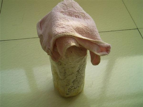 用盆种蘑菇,种蘑菇用的材料可以养花