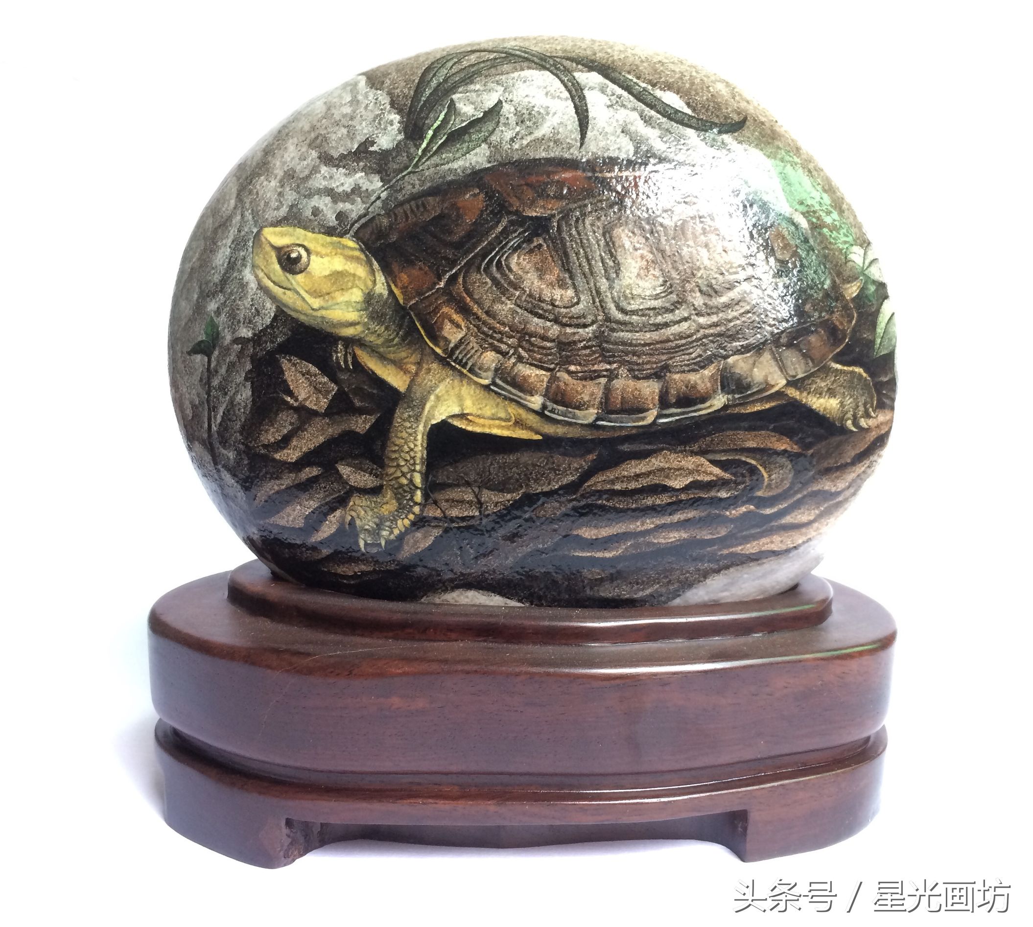 石头上画乌龟教程,龟石头画教程