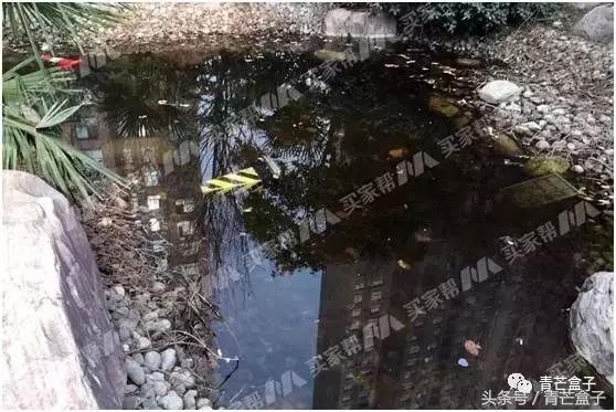 郑州锦艺四季城最新消息,郑州锦艺四季城七期怎么样