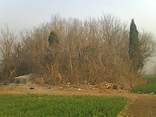 赵旭和安琪,赵旭和宁平