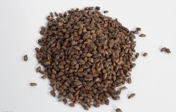 小孩鼻子上面头疼是什么原因,孩子鼻子不通头疼怎么回事