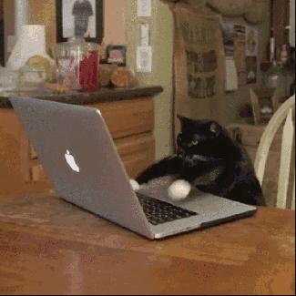 牙科预约成功后的取号流程,牙科挂号最佳方法