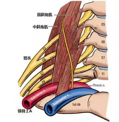 颈椎痛肩膀痛胳膊发凉怎么回事,颈部肩膀手臂麻痛