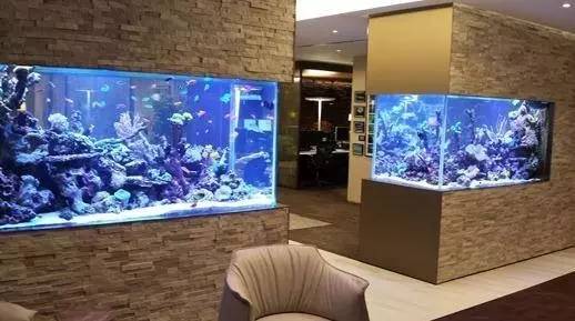 家里摆鱼缸数量有什么讲究,属马属蛇的家里怎么摆鱼缸