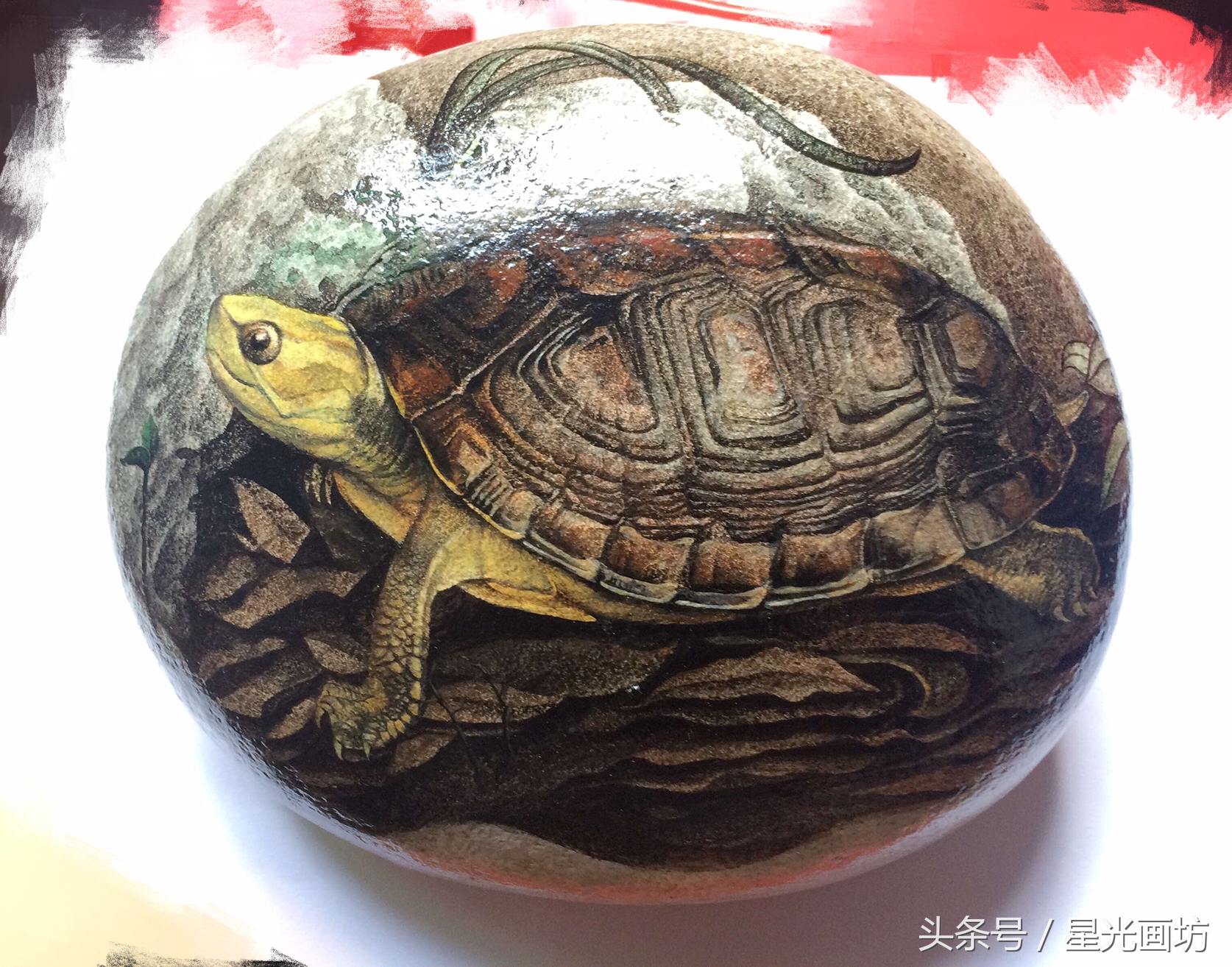 石头上画乌龟教程,龟石头画教程