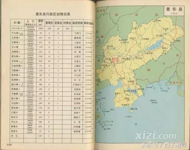 惠东金门,惠东金门镇