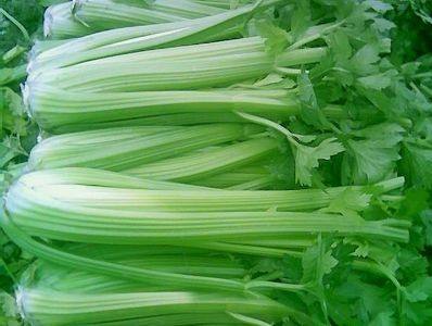 一饿就胃痛吃点东西又不痛了,一饿就胃痛吃点东西就好是咋回事