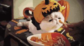 热痱子怎么治好得快？其实3块钱就能搞定！