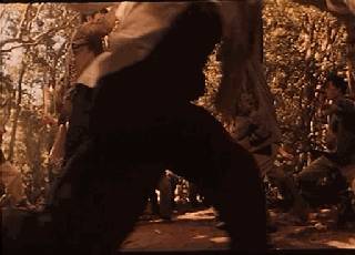 甄子丹最凶狠的一部电影,甄子丹电视剧含冤坐牢