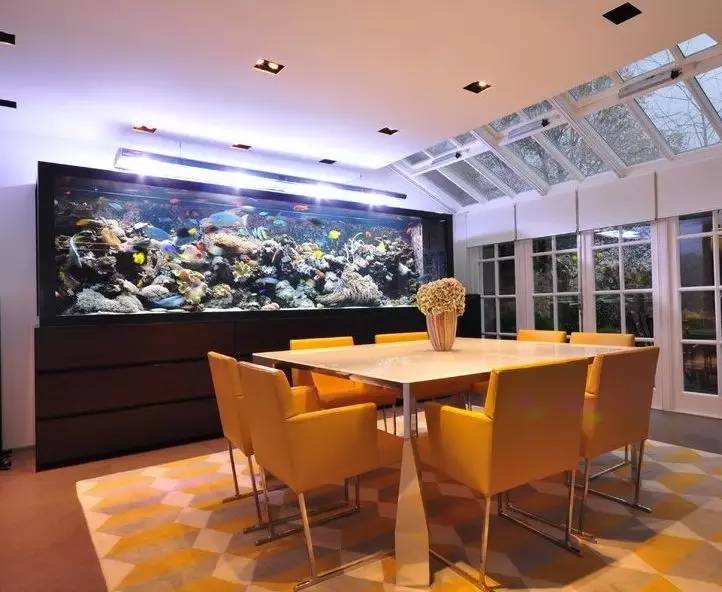 家里摆鱼缸数量有什么讲究,属马属蛇的家里怎么摆鱼缸