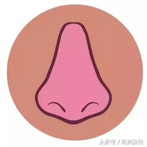 征兵体检网上显示几项不合格,征兵体检检测不合格显示什么