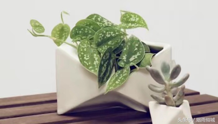 遇到急事借几百块钱怎么办,借3000家里有急事怎么回复