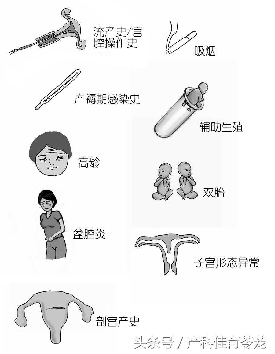 胎盘位置解析,胎盘位置由什么决定