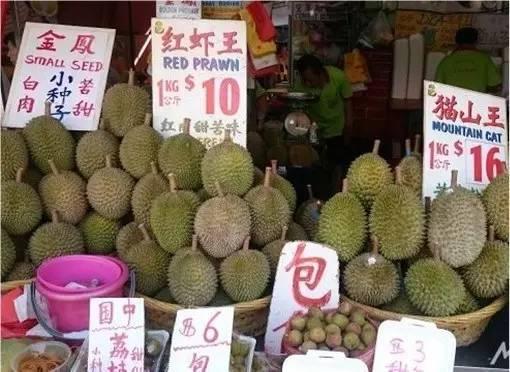 马来西亚各种榴莲名称,马来榴莲品种介绍