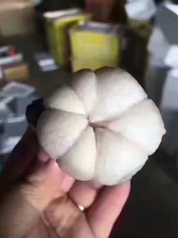 马来西亚各种榴莲名称,马来榴莲品种介绍