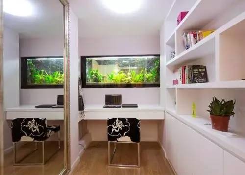 家里摆鱼缸数量有什么讲究,属马属蛇的家里怎么摆鱼缸