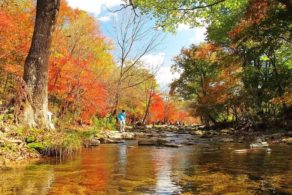 九月辽宁旅游最佳推荐,辽宁赏秋自驾游攻略