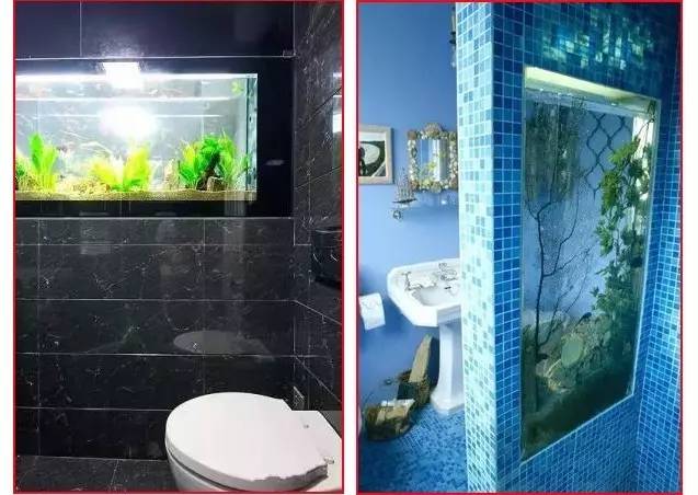 家里摆鱼缸数量有什么讲究,属马属蛇的家里怎么摆鱼缸