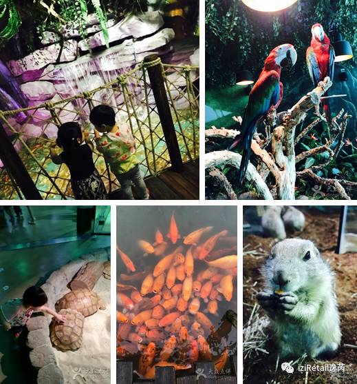 儿童业态,儿童业态有哪些