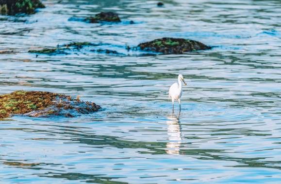 濑户——喜欢你那一抹蓝色光芒（上）