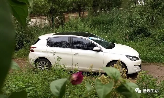 买标致308s的10大忠告,为什么标致308s大家都想要