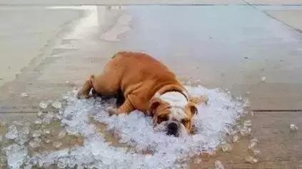 产妇中暑头痛出月子会好吗,山东产妇坐月子中暑热死