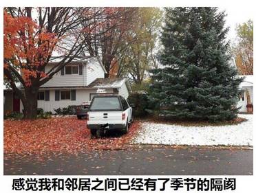 桌边社0824：想在中国找到不用抗生素的鸡，难度很大