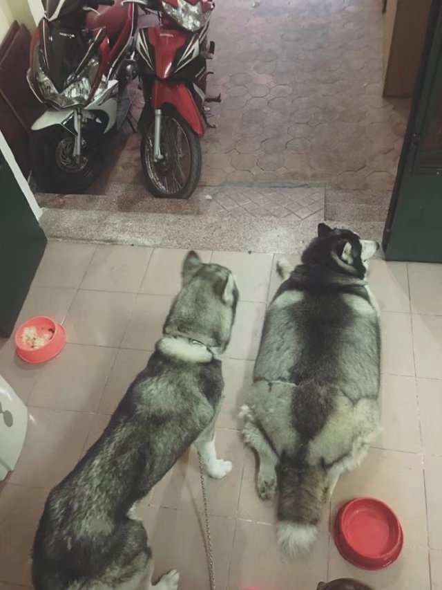 梦想还是要有的没准就实现了呢,梦想还是要有的虽然它很遥远