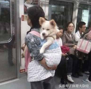 哥，你能管管嫂子吗？一点都不关注形象，太丢人了