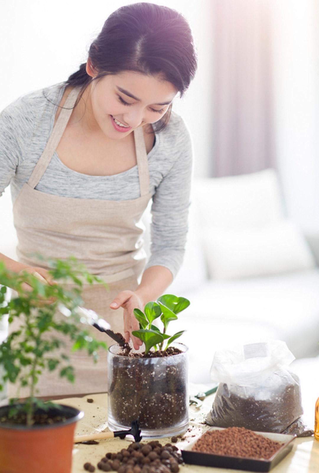 天南星对皮肤有毒吗,天南星科植物都有毒吗