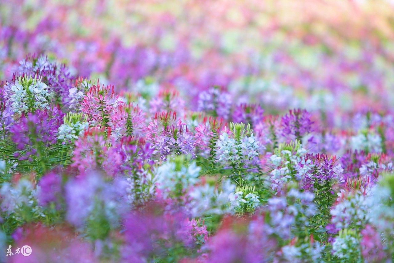 不说憋屈说了矫情什么意思,不说憋屈说出来不值一提