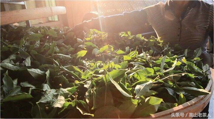 安溪是个怎样的存在，带你走近魅力安溪，走进铁观音