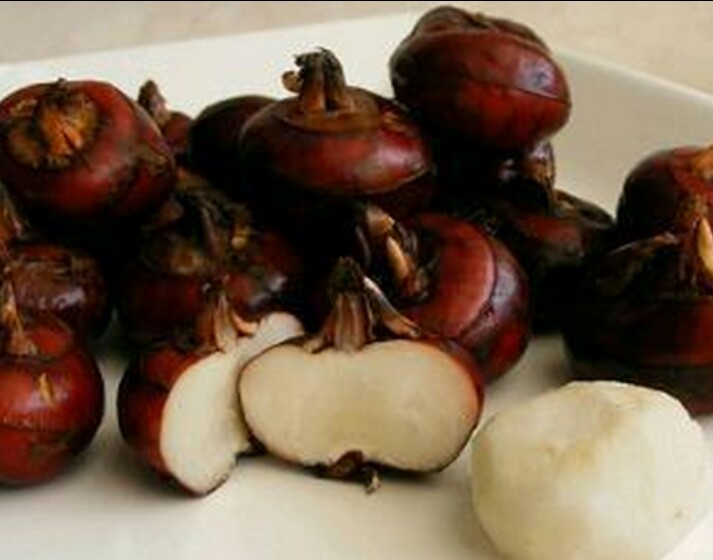 孕期产妇关注哪些,孕期关注事项及饮食禁忌高龄产妇