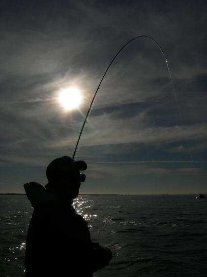 怎么钓到断鱼,怎么才能钓到半截鱼