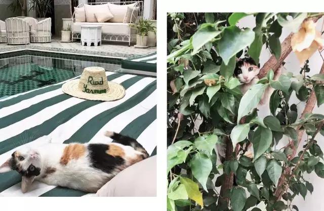 去旅游拍的风景照怎么发朋友圈,怎么给朋友圈的旅游照点评