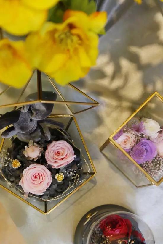 藏在巷子里的花店,隐藏在城市里的花店