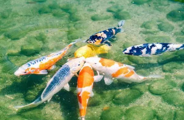 濑户——喜欢你那一抹蓝色光芒（上）