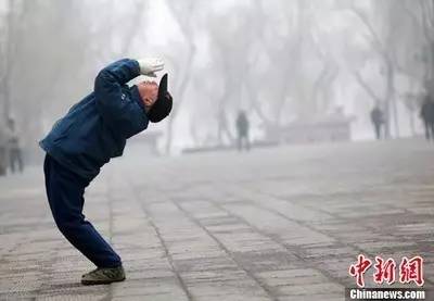 桌边社0824：想在中国找到不用抗生素的鸡，难度很大