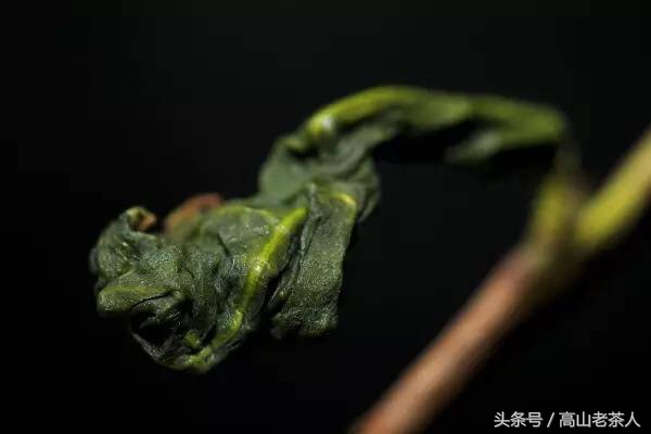 安溪是个怎样的存在，带你走近魅力安溪，走进铁观音