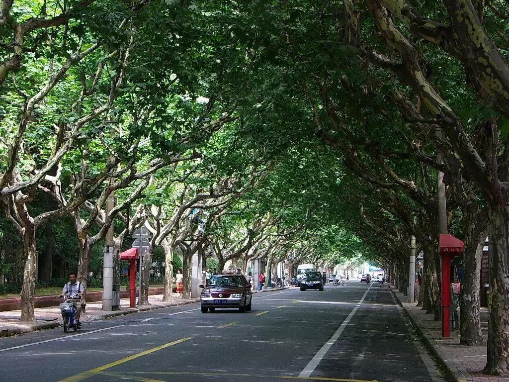荟眼｜餐饮软件代理商必读，某著名软件的渠道政策大揭秘