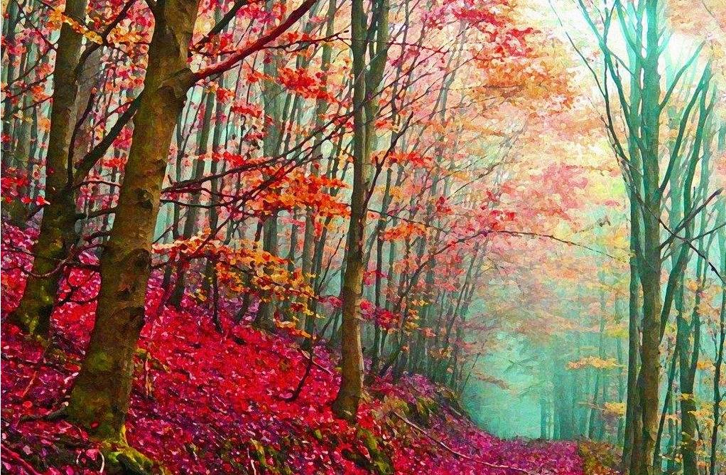 写同学情谊的美文,美文鉴赏300字左右