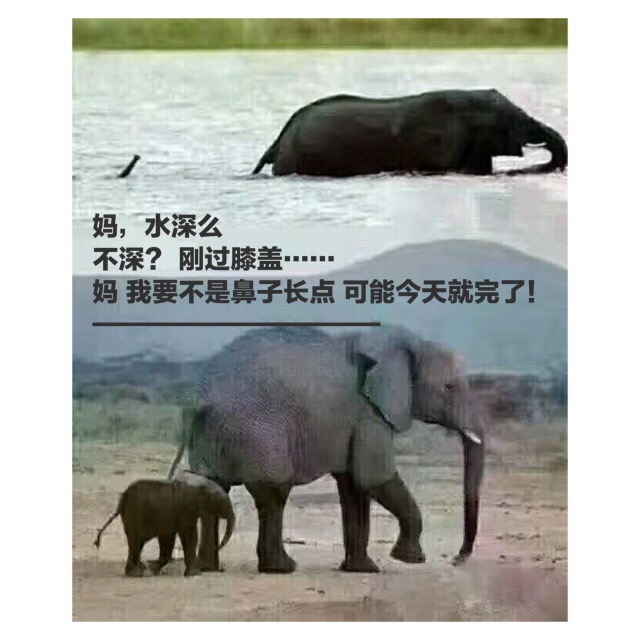 教育孩子磨蹭的后果,教育孩子磨蹭拖拉的后果